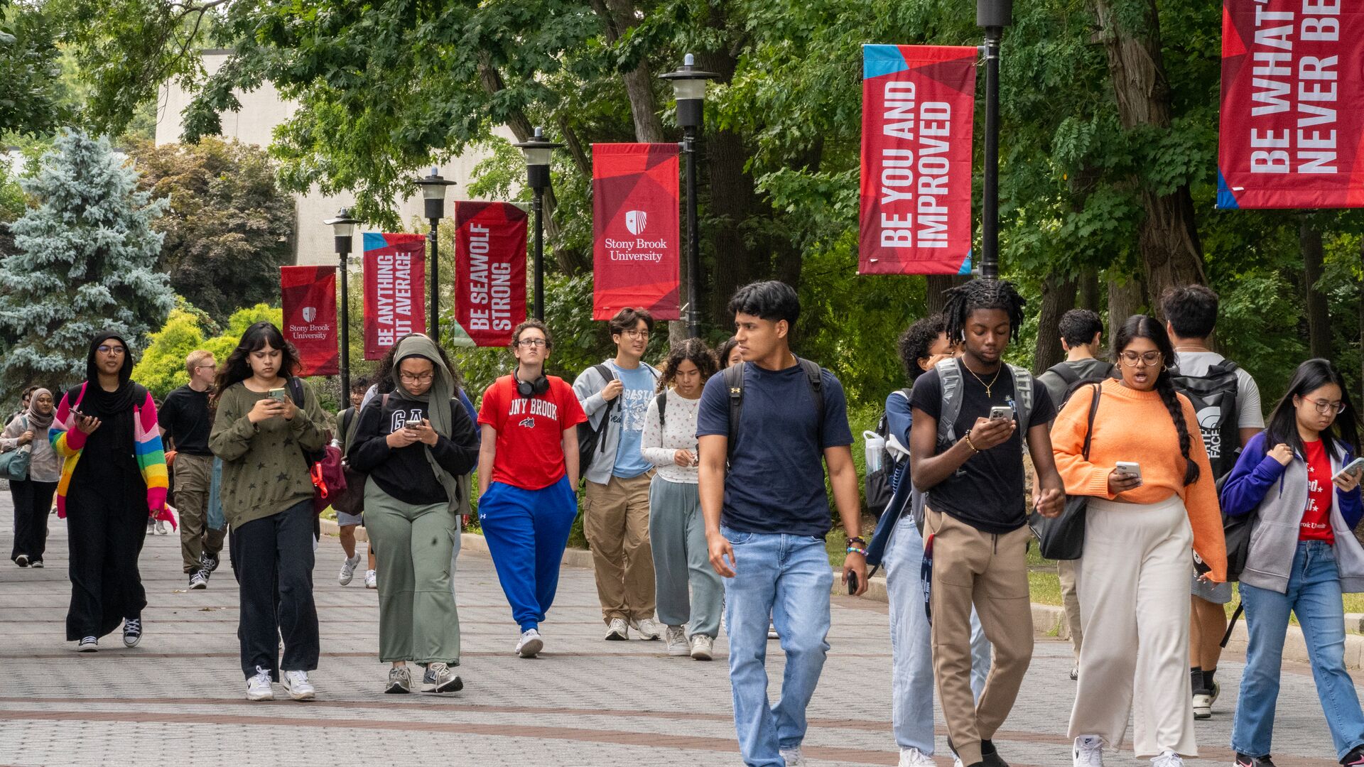 School media preview